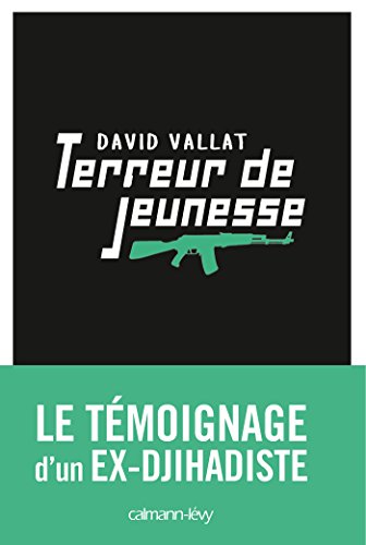 Terreur de jeunesse (Documents, Actualités, Société) (French Edition)